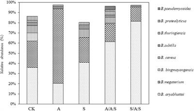 Bacillus benefits the competitive growth of Ambrosia artemisiifolia by increasing available nutrient levels